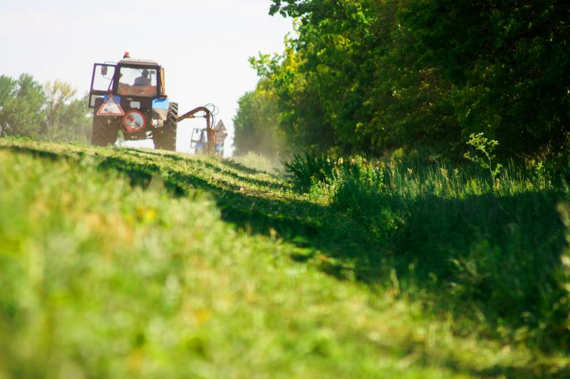 Bush Hog Mowing in Waldorf, MD