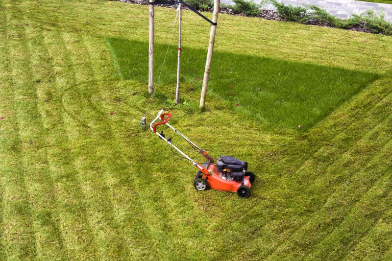 Vacant Lot Mowing in Duluth, MN