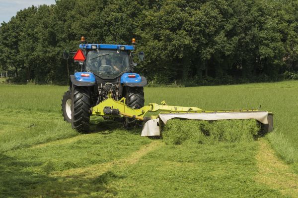 Pasture Grass Trimming
